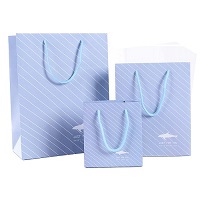 Paper Shopping Bags With Cotton Handle