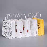 White Kraft Pags With Paper Twisted Handles