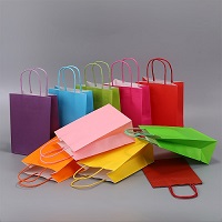 Colored Kraft Pags With Paper Twisted Handles